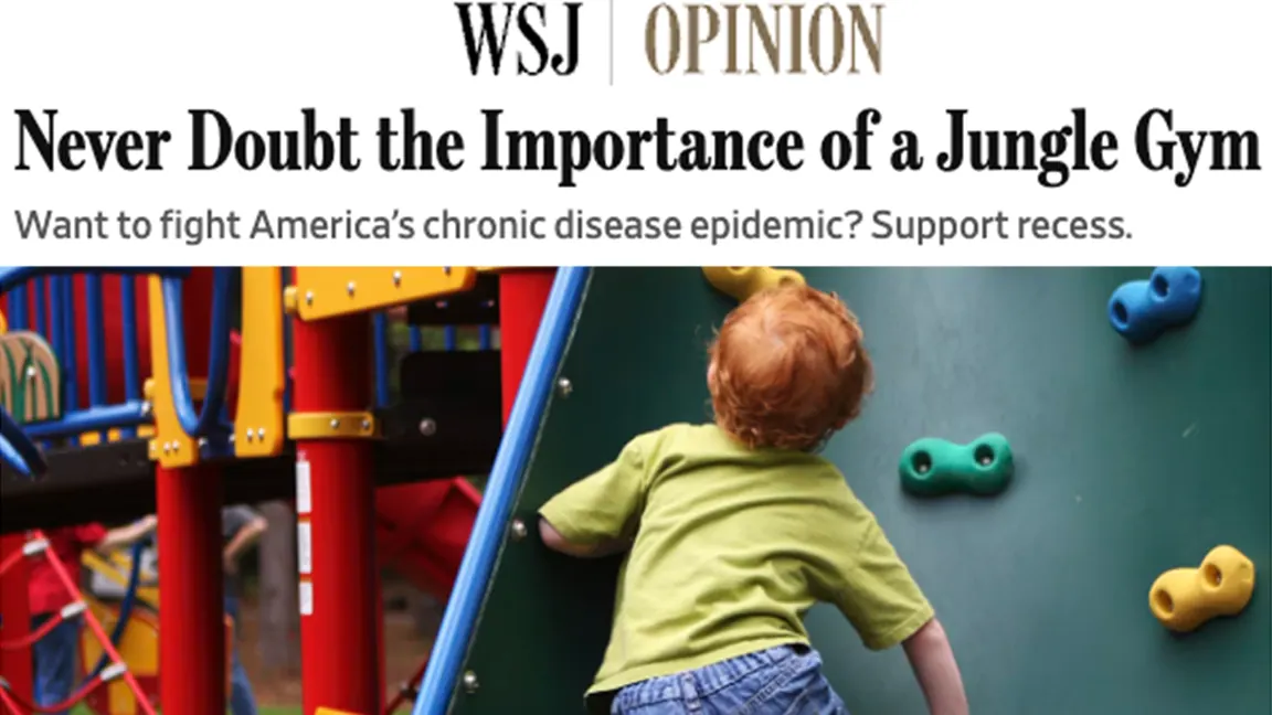 Wall Street Journal: Never doubt the importance of a jungle gym