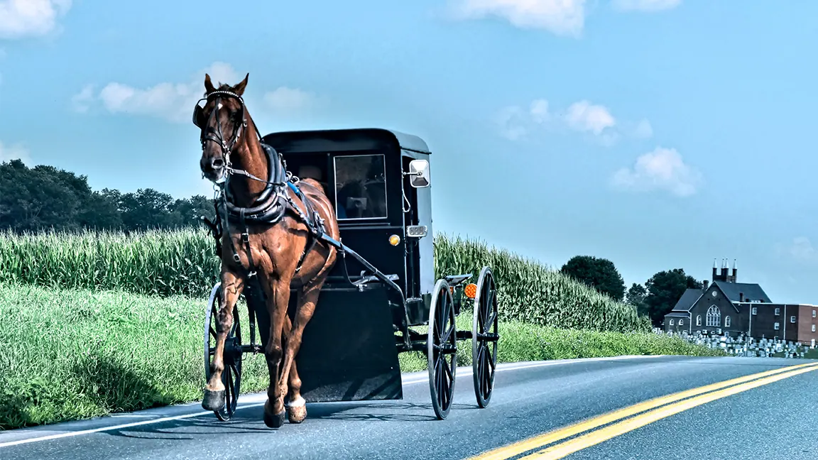 New York Post: ‘Yesteryear’ and the tradwife trend hold a message about our health